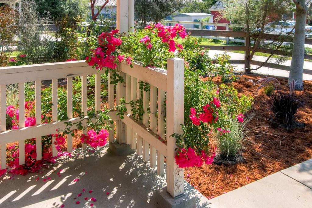 Serene Bungalow-style In Point Reyes Station! Hébergement de vacances *